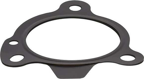 Gasket, exhaust pipe 697.610