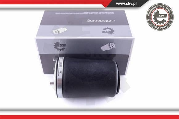 Air Spring, suspension 58SKV001
