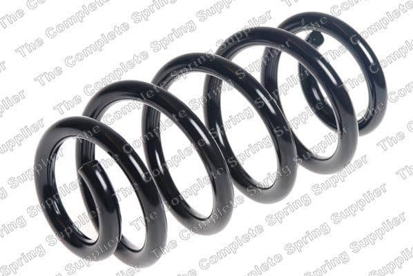 Suspension Spring 4208505