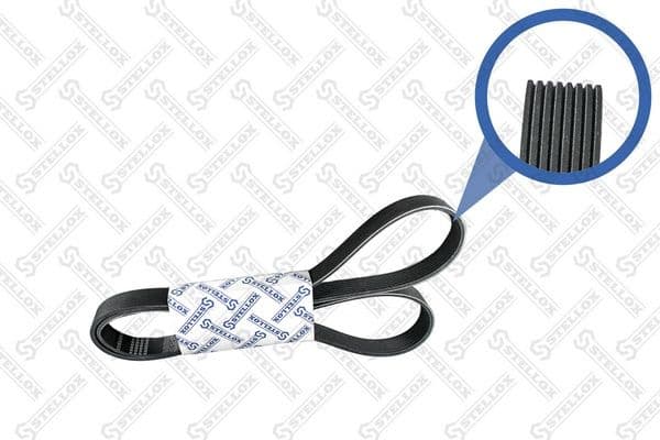 V-ribbed Belt 08-01635-SX