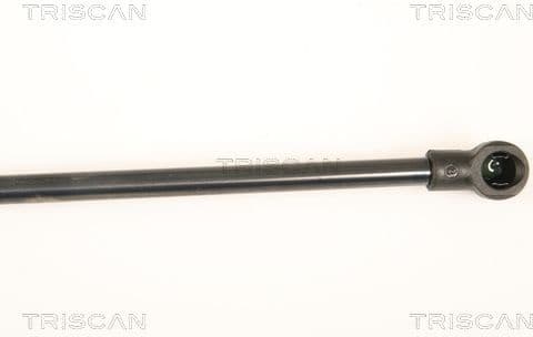 Gas Spring, boot/cargo area 8710 25245 - image 3