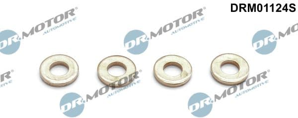 Heat Shield, injection system DRM01124S