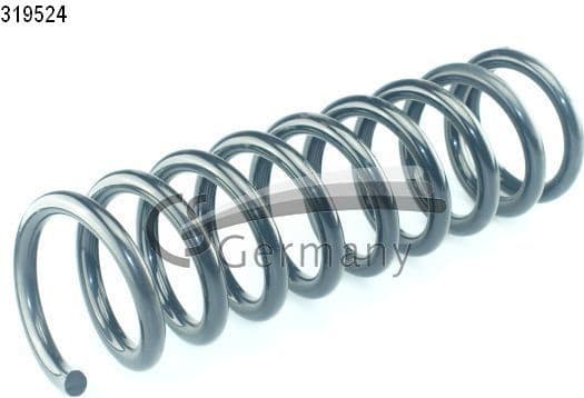 Suspension Spring 14319524