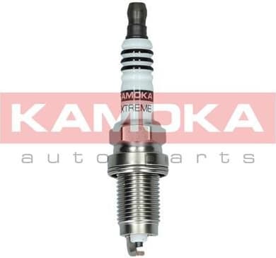 Spark Plug 7090540