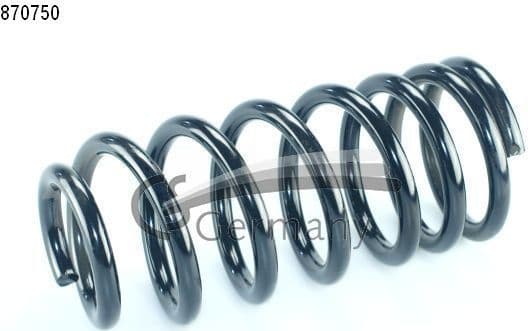 Suspension Spring 14870750