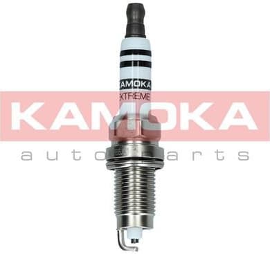 Spark Plug 7090537