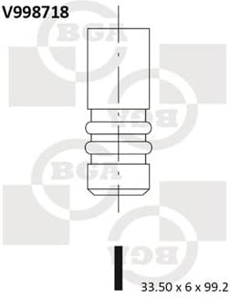 Intake Valve V998718