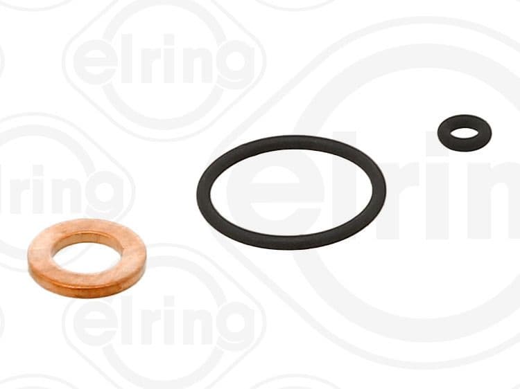Seal Ring Set, common rail injector 090.700