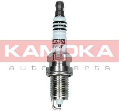 Spark Plug 7090534