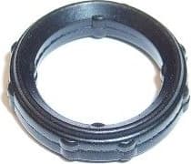 Gasket, timing case 747.810