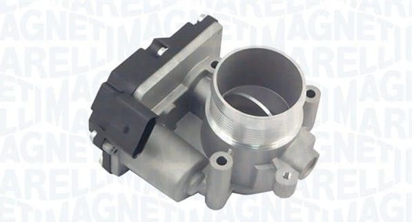 Throttle Body 802000000034
