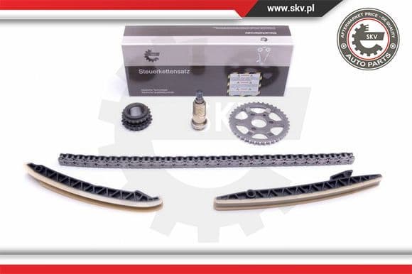 Timing Chain Kit 21SKV212