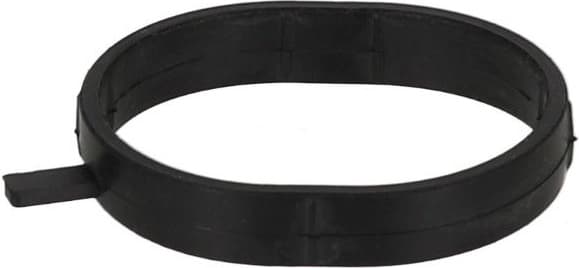 Gasket, coolant flange 521.520