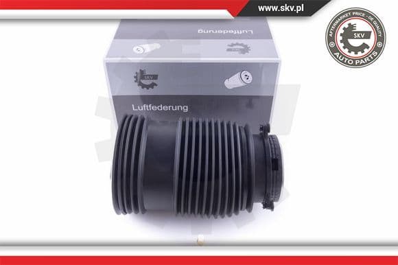 Air Spring, suspension 58SKV008