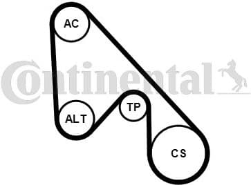 V-ribbed Belt Set 5PK1145K1 - image 2