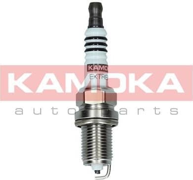 Spark plug 7090510