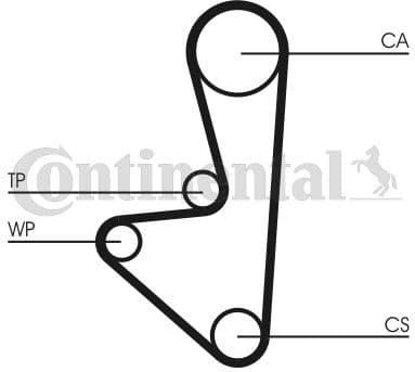 Water Pump & Timing Belt Kit CT607WP1 - image 2