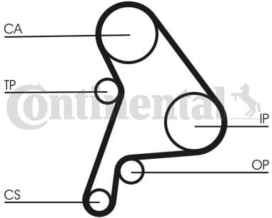 Timing Belt CT1012 - image 3