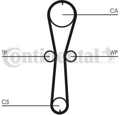 Timing Belt CT915 - image 3