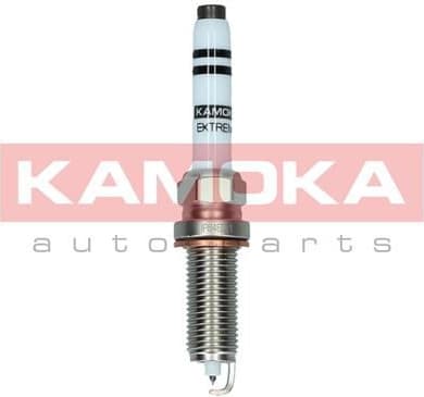 Spark Plug 7100064
