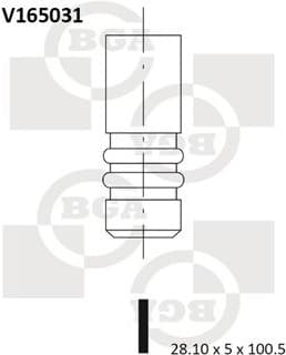 Exhaust Valve V165031