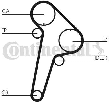 Timing Belt CT891 - image 3