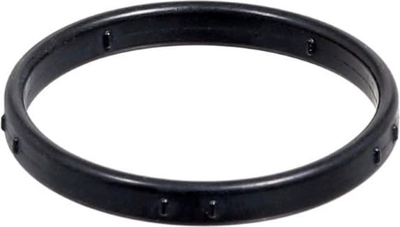 Seal Ring, water pump 429.490