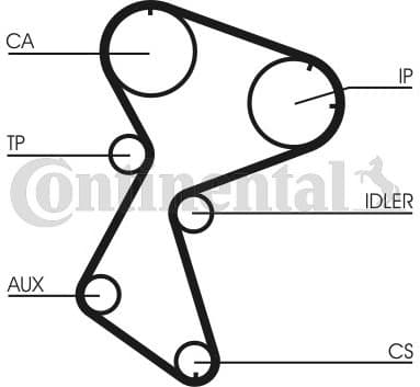 Timing Belt CT966 - image 3