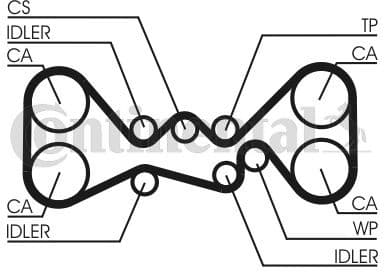 Timing Belt CT1058 - image 3