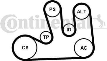 V-ribbed Belt Set 5PK1750K1 - image 2