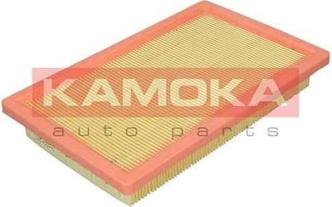 Air Filter F253401