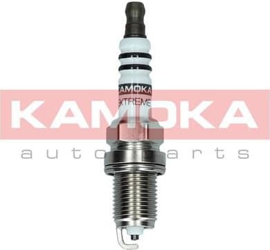Spark plug 7090513