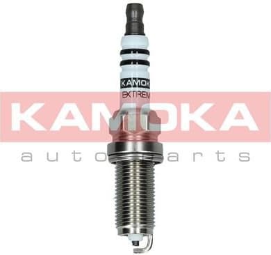 Spark Plug 7090525