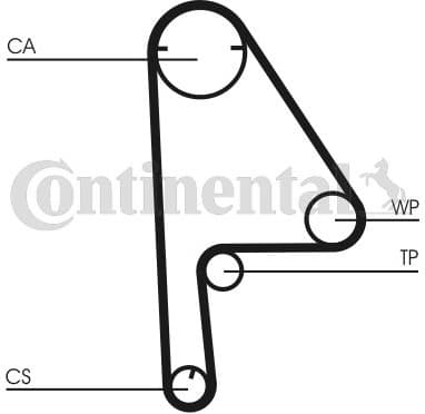 Timing Belt CT1081 - image 3