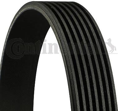 V-ribbed Belt 7PK1770