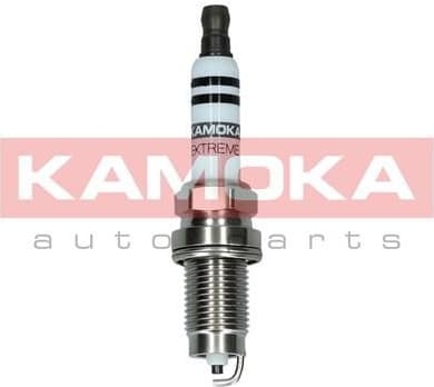Spark Plug 7090541