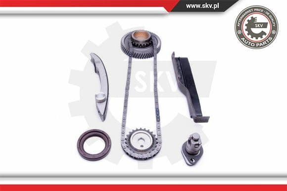 Timing Chain Kit 21SKV214