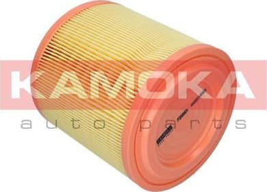 Air Filter F253301