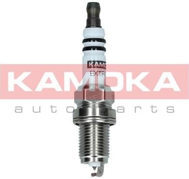 Spark Plug 7090031