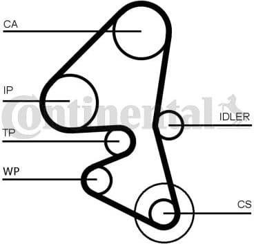 Timing Belt CT1163 - image 2