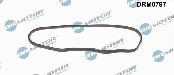 Gasket, timing case cover DRM0797