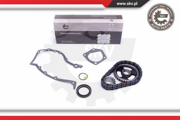 Timing Chain Kit 21SKV218