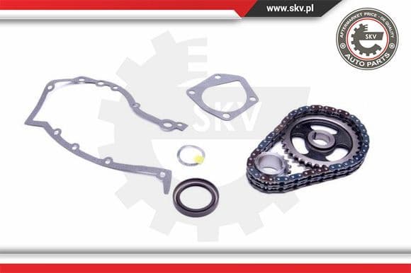 Timing Chain Kit 21SKV218 - image 2