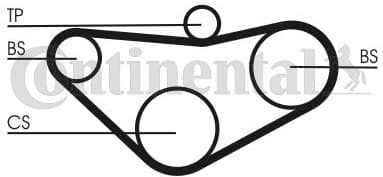 Timing Belt CT800 - image 3