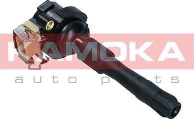 Ignition Coil 7120081