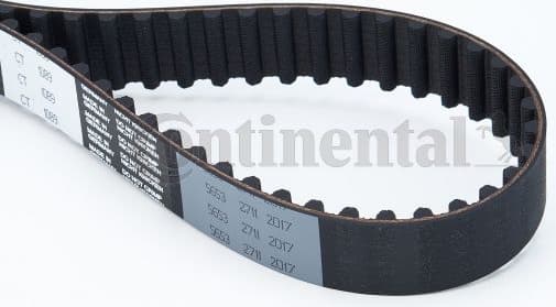 Timing Belt CT1089 - image 2