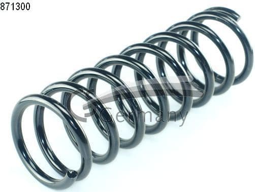 Suspension Spring 14871300