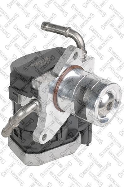 EGR Valve 01-25135-SX