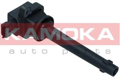 Ignition Coil 7120127