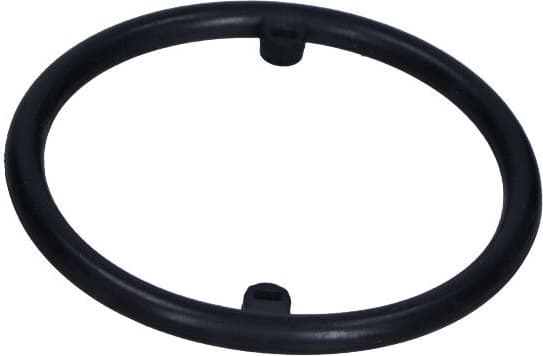 Gasket, oil cooler 70-0115